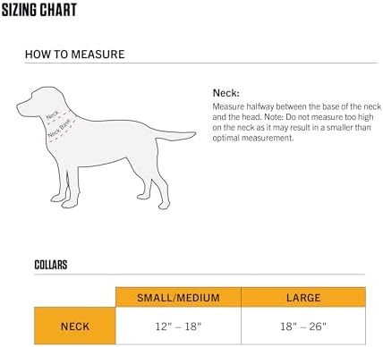 Carhartt Fully Adjustable Nylon Webbing Collars for Dogs, Reflective Stitching for Visibility, Light Moss (Nylon Webbing), Large