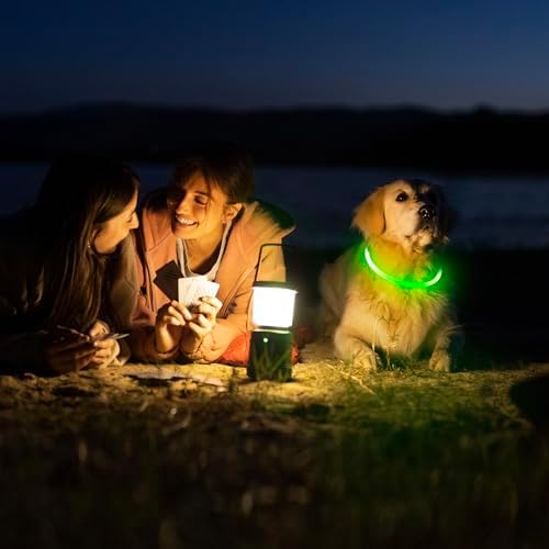 HIGO Light Up Dog Collars, USB Rechargeable LED Dog Collar, TPU Cuttable Dog Glow Collar, High Visibility Puppy Collar Safety Dog Lights for Night Walking(Green)