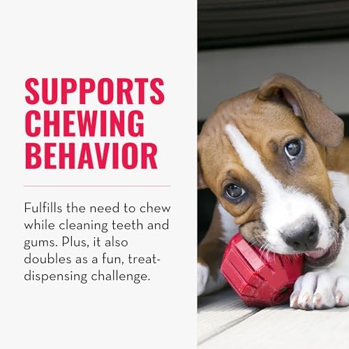 KONG Stuff-A-Ball - Durable, Natural Rubber Chew Toy for Dogs - Dental Health Pet Toy for Chewing & Teeth Cleaning - Stuffable for Treats & Snacks - for Large Dogs