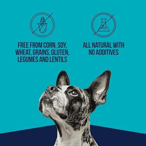 Stewart Freeze Dried Dog Treats, Chicken Liver, Healthy, Natural, Single Ingredient, Grain Free Dog Treat, Liver Treats for Dogs, 11.5 Ounces, Resealable Tub