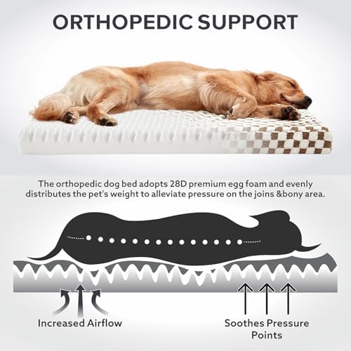 JOEJOY Dog Bed for Medium Dogs, Large Orthopedic Dog Bed with Removable Washable Cover, Cute Modern Plush & Memory Egg Crate Foam Dog Bed, 30 x 20 inch, Brown