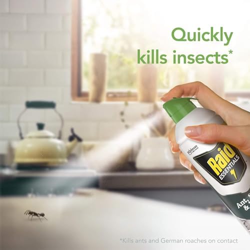 Raid Essentials Ant Spider, and Roach Killer Aerosol Spray, Child & Pet Safe, Kills Insects Quickly, 10 Ounce, 6 Pack (6), 331877