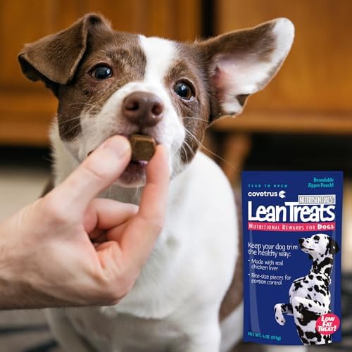 Nutrisential Lean Treats for Dogs - Soft Dog Treats for Small & Medium Dogs - Nutritional Low Fat Bite Size K9 Treats - Chicken Flavor - 12 Pack - 4oz