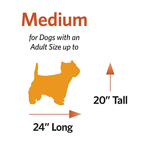 MidWest Homes for Pets Medium QuietTime MAXX Ultra-Rugged Dog Bed, Water & Odor Resistant, Bolstered Edge, Non-Slip Bottom, Fits 30-inch Crates, Black