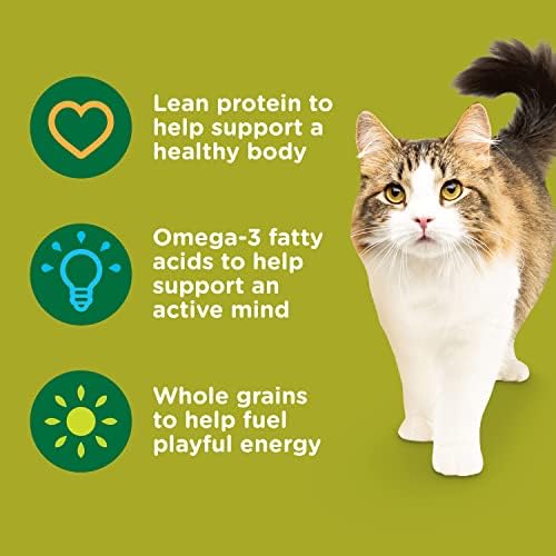 Rachael Ray Nutrish Premium Natural Dry Cat Food, Real Chicken & Brown Rice Recipe, 6 Pounds (Packaging May Vary)