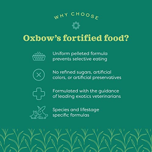 Oxbow Essentials Adult Rat Food - All Natural Adult Rat Food - 20 lb.
