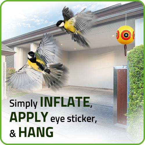 De-Bird Balloon Bird Repellent,3-Pk Fast and Effective Solution to Pest Problems, Scare Eyes Balloon to Scare Birds Away from Pool and Garden Crops
