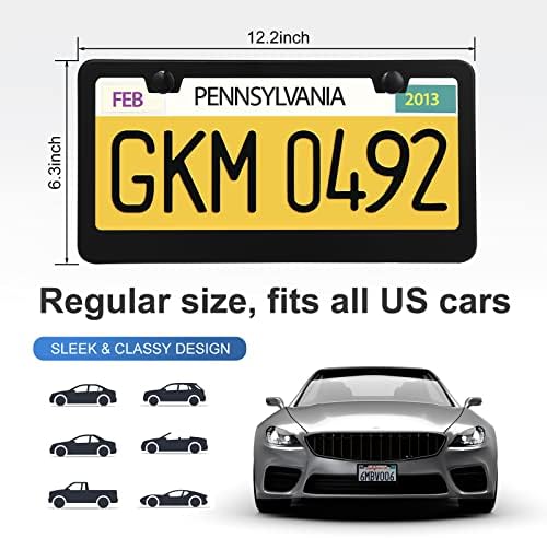 2 Pack License Plate Frames, Stainless Steel Car License Plate Cover Car Accessories with Screw Caps (Black)
