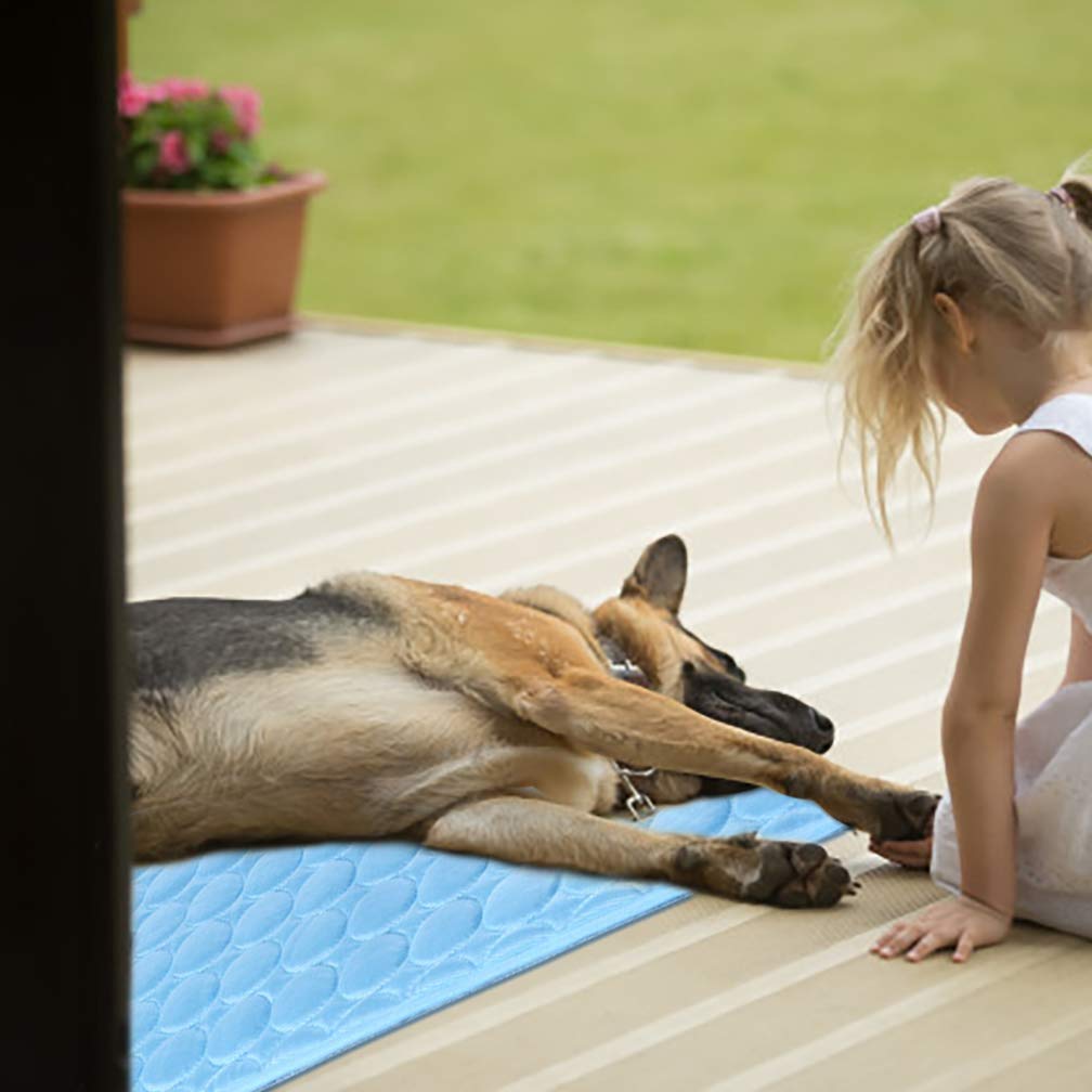 MeiLiMiYu Washable Dog Ice Silk Self Cooling Mat for Indoor & Outdoor Dog Mat with Cooling Pad & Blanket