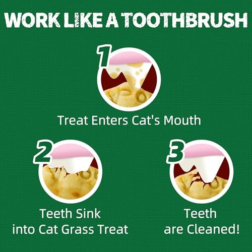 13.4 OZ Cat Grass Treats Natural Salmon Flavor Healthy Cat Snacks Training Biscuits Catnip for Cats Dental and Hairball Control Treats