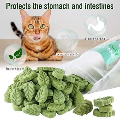 100g/3.52oz Cat Grass Treats, Cat Grass Teething Stick for Hairball Remove and Teeth Cleaning, Edible Cat Grass Stick Snack