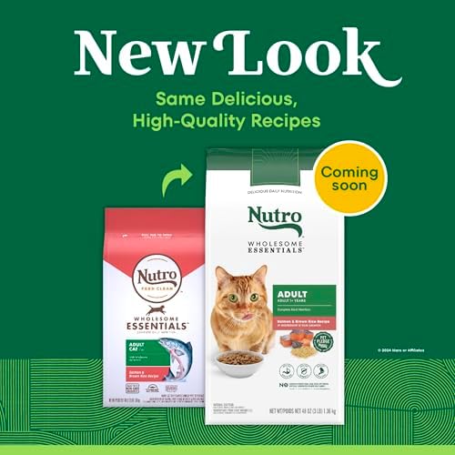 NUTRO WHOLESOME ESSENTIALS Adult Natural Dry Cat Food Salmon & Brown Rice Recipe, 3 lb. Bag