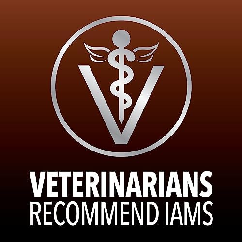 IAMS Advanced Health Immune Health Salmon and Chicken Recipe Adult Dry Cat Food, 3.5 lb. Bag