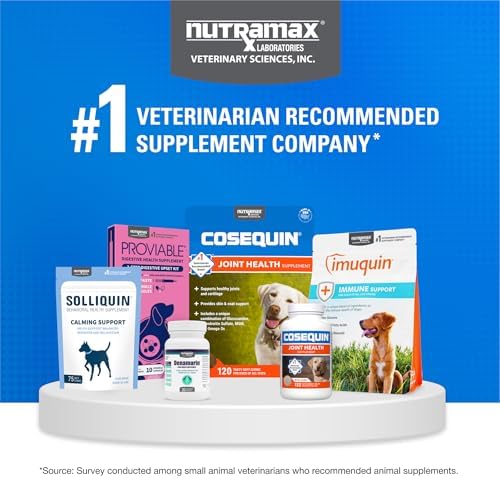Nutramax Laboratories Cosequin DS Plus MSM Professional Line for Dogs, 60 soft chews