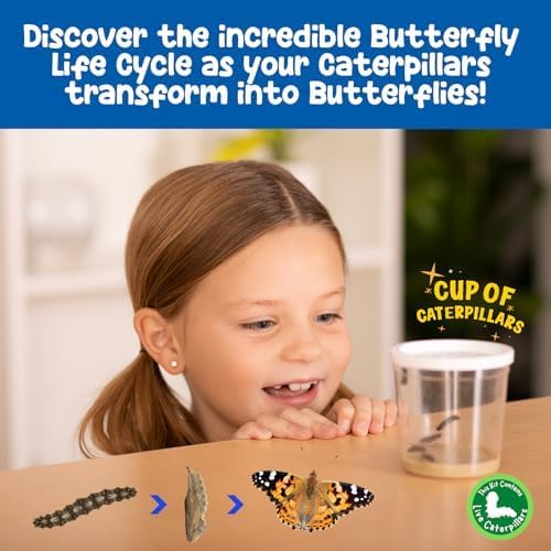 Insect Lore Butterfly Garden | As Seen On TV | 10 Live Baby Caterpillars, Habitat, Journal, Life Cycle Figurines, Seeds, Stickers, Feeder, Chrys-A-Lid Logs | Raise and Release Painted Lady Butterflies