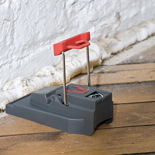 Victor Quick-Kill Mouse Trap - 2 Pack