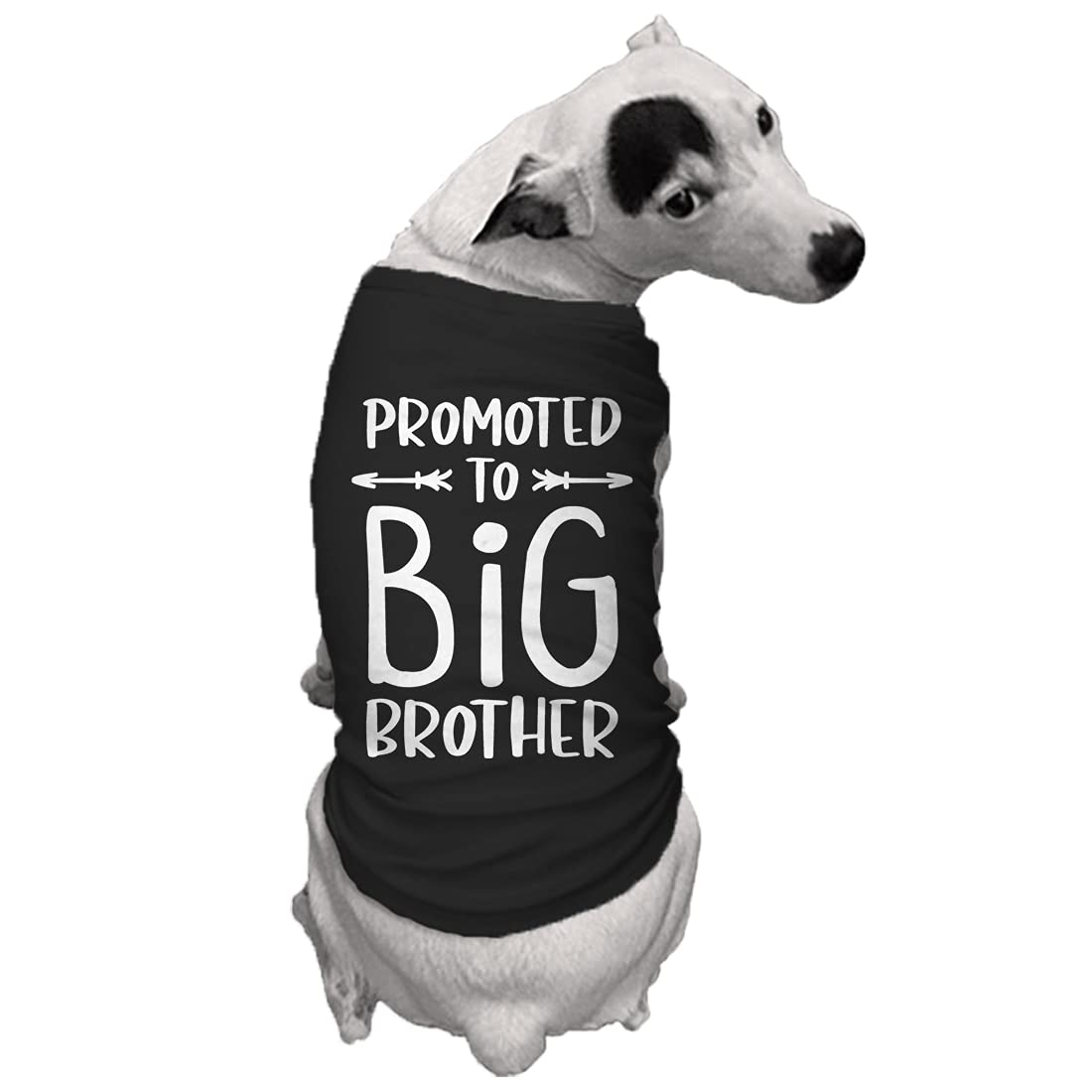 Promoted to Big Brother - Dog Shirt (Black, 3X-Large)