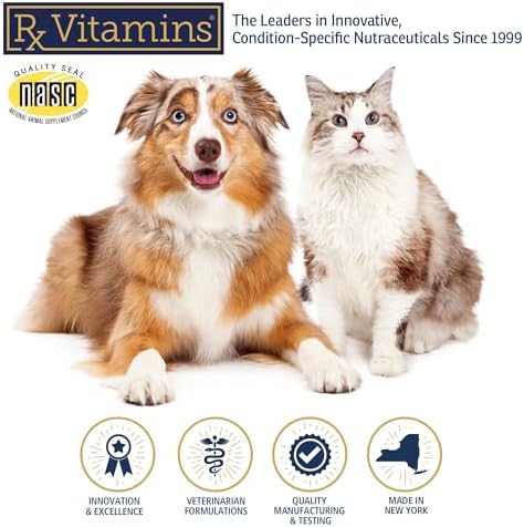 Rx Vitamins Amino B Plex Cat & Dog Supplement - Vitamin B Complex Liquid Plus Amino Acids for Dogs & Cats - Appetite Booster and Weight Gainer Cat & Dog Vitamins - 4 oz