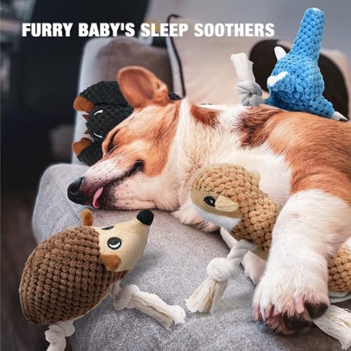 LEGEND SANDY Plush Small Dog Toys for Small Breeds, Tough Puppy Toys to Keep Them Busy, Tough Stuffed Animals Puppy Chew Toys, Squeaky Dog Toys (5 Pack Puppy Toys)
