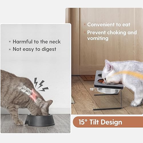 Elevated Cat Bowls, 15° Tilted Raised Cat Food Bowls Wood Pet Bowls with Stand Anti Vomiting 2 Stainless Steel Bowls for Cats and Puppy