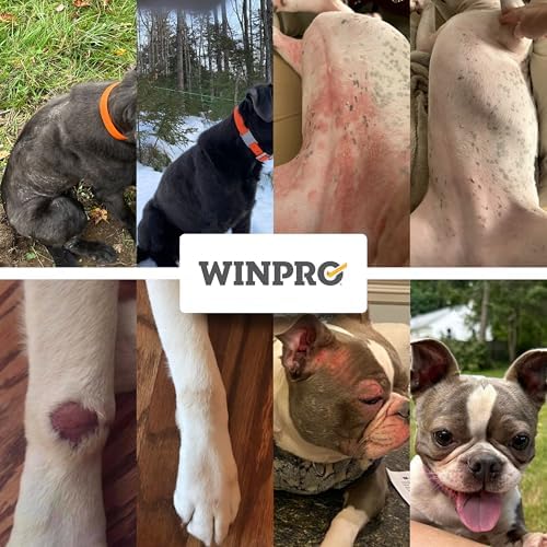 WINPRO Dog Allergy Relief Chews – Plasma-Powered Soft Chews for Dogs – Grain-Free, Natural Blood Protein Supplements – Anti-Itch, Skin & Allergy Relief – 60 Chews, Made in The USA