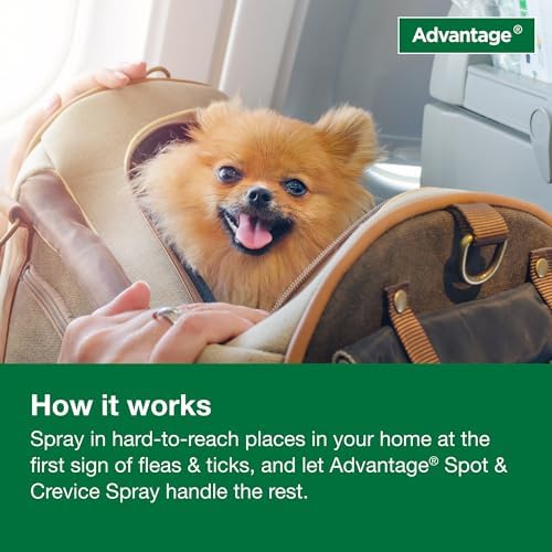 Advantage Household Spot & Crevice Spray | Kills Fleas & Ticks & Bedbugs | 24 oz.