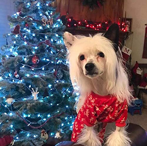 CuteBone Dog Xmas Pajamas P18XL, Polyester, X-Large, Animal Print, Elastic Waist