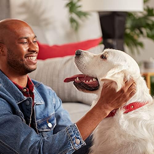 Milk-Bone Peanut Butter Flavor Naturally & Artificially Flavored Dog Biscuits - Crunchy Dog Treats - 7 Pounds (Packaging Design May Vary)