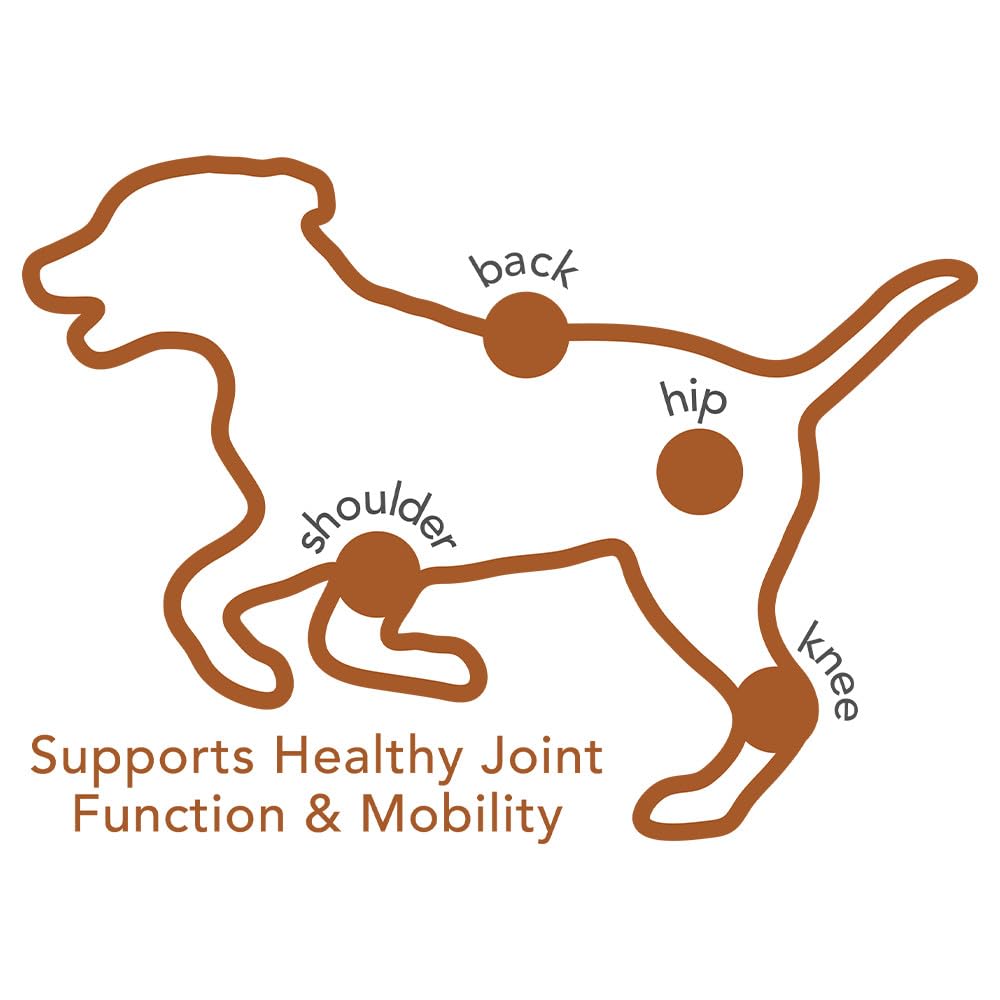 Vet's Best Advanced Hip & Joint Soft Chew Dog Supplements - Formulated with Glucosamine and Chondroitin to Support Dog Joint and Cartilage Health -30 Day Supply