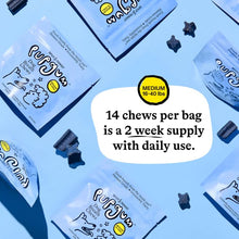 Load image into Gallery viewer, Spot & Tango PupGum Dog Dental Chews for Fresh Breath & Teeth Cleaning – Clinically Proven Plaque & Tartar Control – Human-Grade, Vet-Developed Dental Care Treats for Dogs 16-40lbs – Made in USA