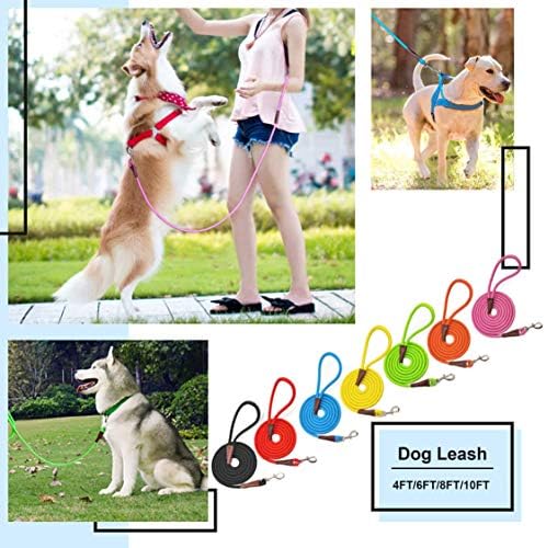 MayPaw 4/6 /8/10 FT Dog Leash, Classic Solid Colors, Strong Nylon Rope Dog Leash Reinforced with Leather Tailor Connection Heavy Duty Silver Clasp