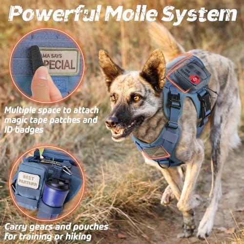 rabbitgoo Tactical Dog Harness for Large, Heavy Duty Pet Harness with Handle, No-Pull Service Vest Large Breed, Adjustable Military Dog Vest for Training Hunting Walking, Blue, XL