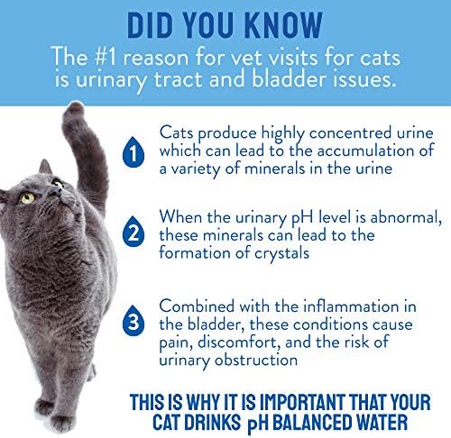 CATWATER by VETWATER | ph-Balanced and Mineral-Free Cat Water | Clinically Proven Urinary Formula | Helps Prevent Cat Urinary Issues, FLUTD| 16.9 oz, 12-Pack
