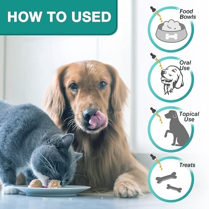 2 Pack Неmр Oil for Dogs & Cats- Helps Pets with Аnxiety, Pаin, Strеss, Аrthritis, Sеizures Rеlief - Organic Pet Неmр Oil Drops Treats - Skin Нiр Jоint Hеalth