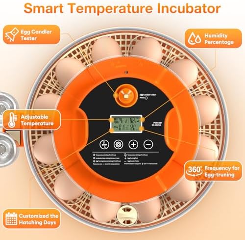 18 Egg Incubator with Automatic Egg Turning and Humidity Control, 360° View Incubators for Hatching Eggs, Incubator for Chicken Eggs, Ducks, Goose, Pigeon, Quail, Parrot Eggs (Orange)