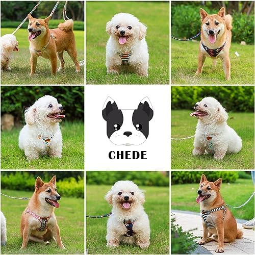 CHEDE No Pull Floral Pattern Dog Harness- Lightweight and Soft Dog Harness, Adjustable Small Dog Harness and Leash Set, with Dog Leash, Suitable for Puppy Small and Medium-Sized Dog