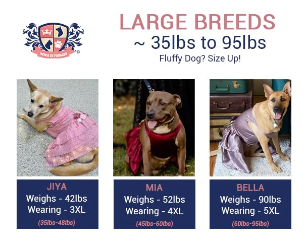 Burgundy Dog Dress, Wedding Dog Dress, Dog Flower Girl Dress, The Eloise, Wine and Copper Wedding Dog Dress, Dog Clothes (XXX-Large (28-40 lbs))
