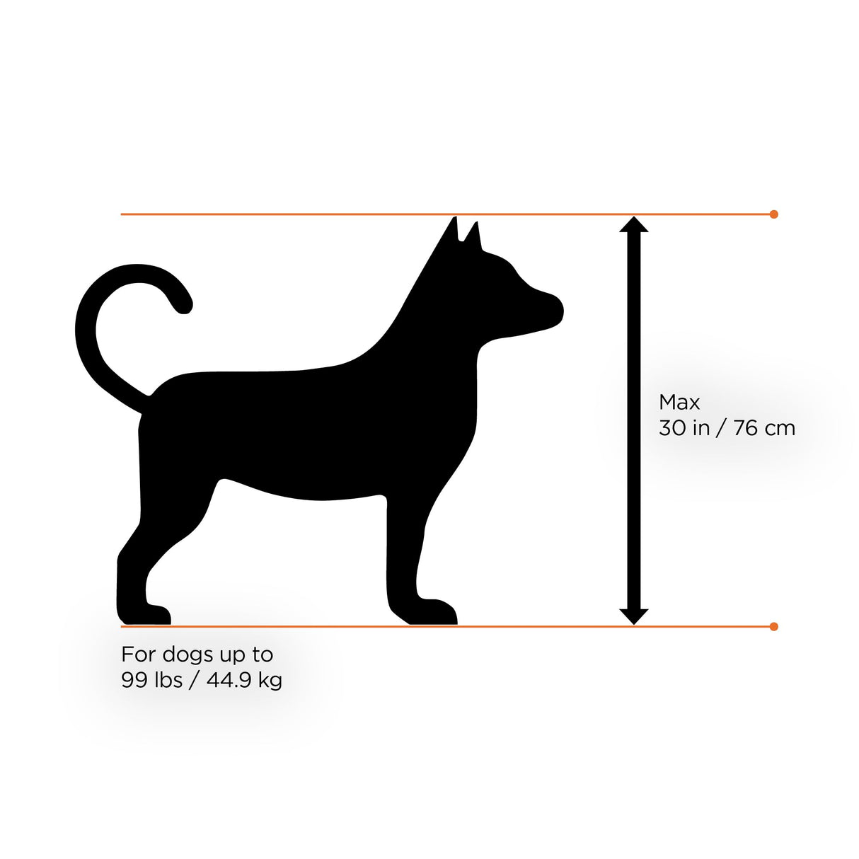 Thule Bexey pet Bike Trailer - Carrier for Small & Large Sized Dogs - Foldable Design - Easy to Connect to Bike - Padded Interior - Converts into Travel Crate - Durable Materials