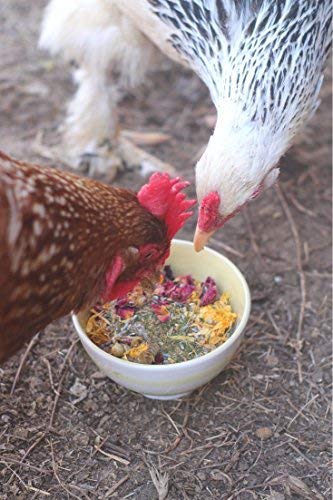 Pampered Chicken Mama Best Eggs Ever! Nesting Herbs for Chickens (10 Ounces) | Chicken Nesting Herbs