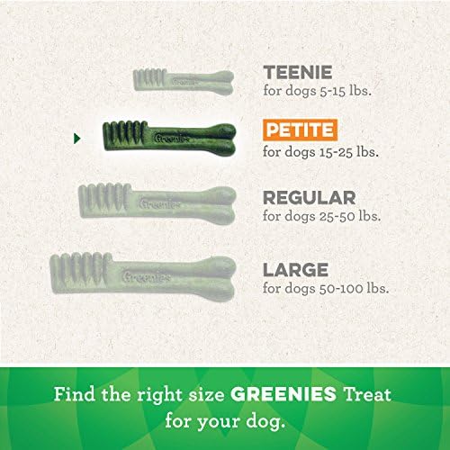 Greenies Pumpkin Spice Flavor Petite Size, Veterinarian-Recommended for Dental Care, Dog Treat Chews, Limited Edition, 12 oz., Pouch (20 Treats)