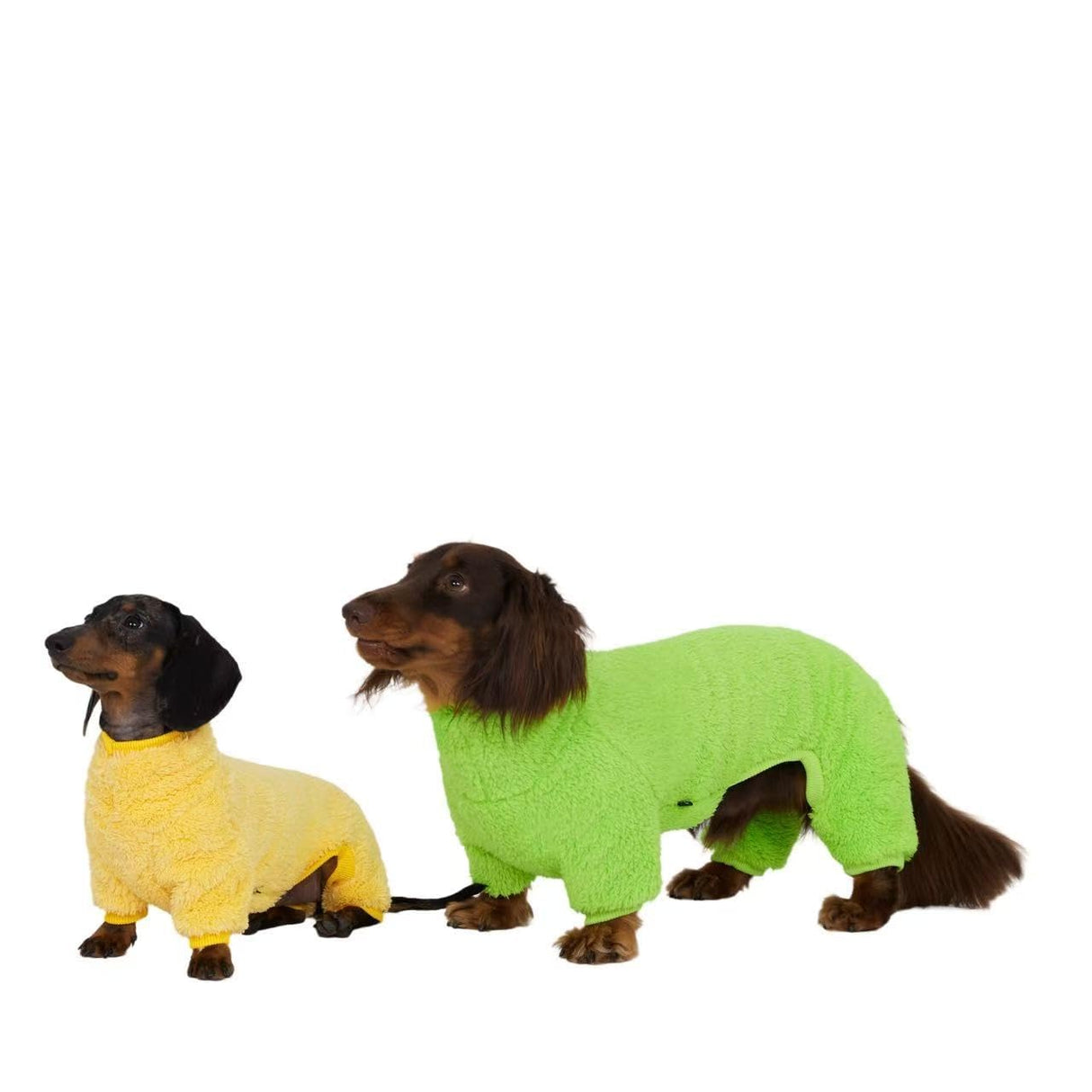 Dachshund Dog Turtleneck Warm Fleece Sweater, 4-Leg Winter Outfit Clothes, Suitable for Dachshunds (Bright Green, Small)