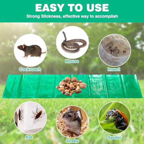 Qualirey Sticky 47 Inch Ultra Large Mouse Trap Mouse Glue Traps Sticky Rat Trap That Work for Trapping Rats Roaches Rodents Heavy Duty Pre Baited Mats Indoor Outdoor Catch Pest Trap (Green,20 Pcs)