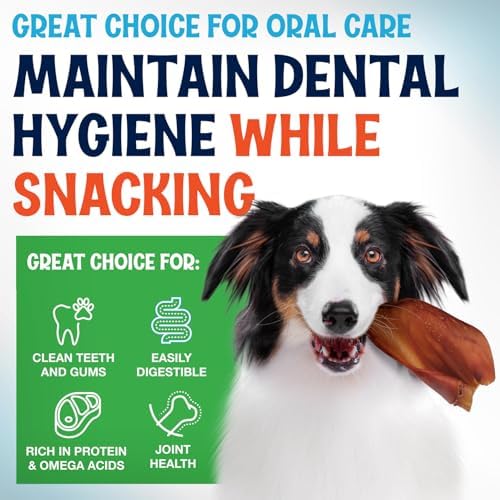 Whole Pig Ears for Dogs Large - 6 Pack Long Lasting Dog Chews – One Ingredient Delicious All Natural Flavor – Easy to Digest Dog Treats for Large Dogs - Great for Teeth and Gums