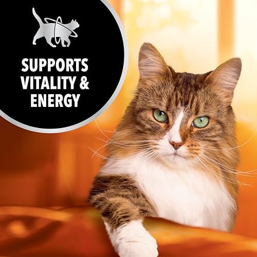 IAMS Advanced Health Immune Health Salmon and Chicken Recipe Adult Dry Cat Food, 3.5 lb. Bag