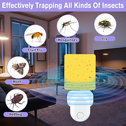 2023 Flying Insect Trap,Flying Insect Trap Indoor Plug in, Upgraded Uv Light Attractant Indoor Plug-in Night Light Fly Trap,for Catching Mosquitoes, Fruit Flies, Gnats,1 Pack with 5 Sticky Pad