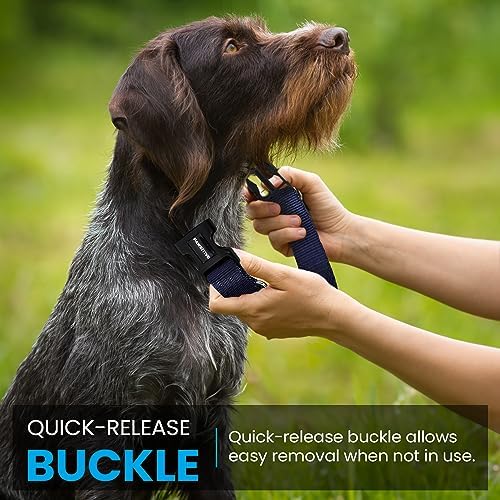 3/4" Nylon Replacement Collar - Shock Collar Replacement Collar, Fence Collar Replacement, Compatible with Pet Safe & Invisible Fence & Fits Most PetSafe Collars (3/4" Black)