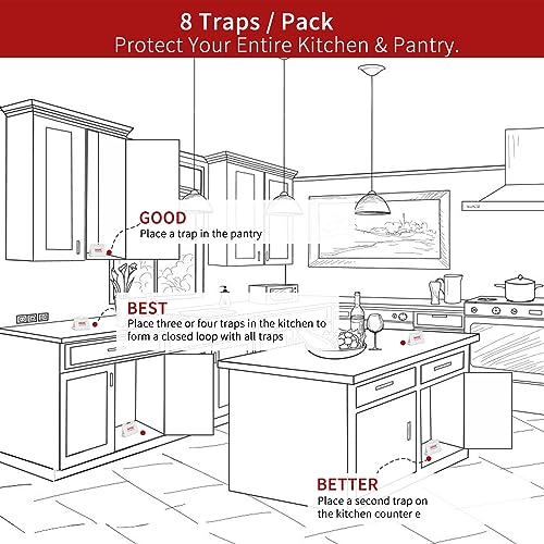 AMVOG Pantry Moth Glue Trap, Non-Toxic and Harmless, Easily Ensures Food Safety โ Suitable for Home, Business, and Agricultural Settings, 16 Traps