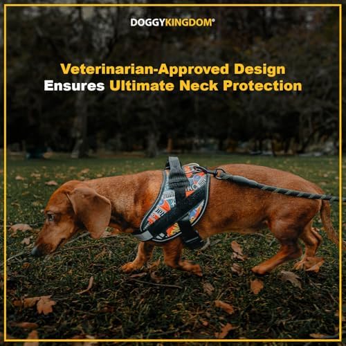 Non Pull Dog Harness with Patch Panels and Handle, Adjustable, Reflective, No Choke, Heavy Duty Easy On Service Dog Vest Harnesses for Medium Large Small Sized Dogs - Military Desert, XS
