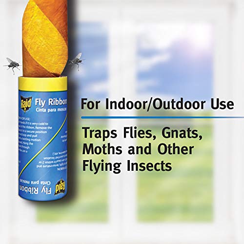 Raid FR3-RAID 4 Count Fly Catcher Ribbon (12-Pack)