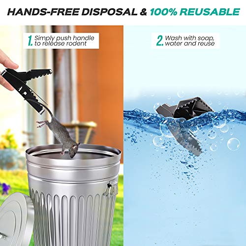 eXuby Large Powerful Rat Traps (24 Pack) - Kills Instantly with Powerful Steel Spring - Setup in Seconds - Wash & Reuse Over & Over - Hands Free Disposal - Rat Control Without Harmful Poisons or Chem